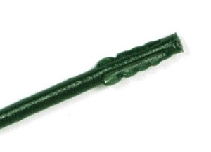 СТЕБЕЛЬ ГЕРБЕРА