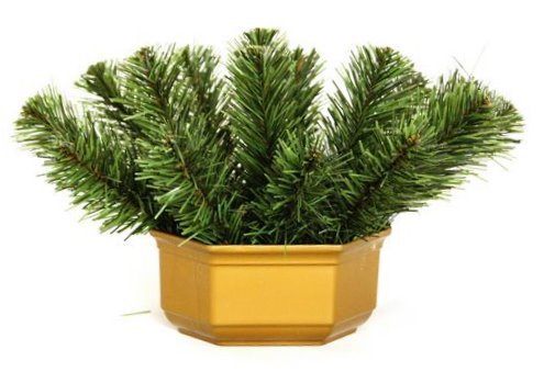 ЦЕМЕНТНЫЕ ОСНОВАНИЯ